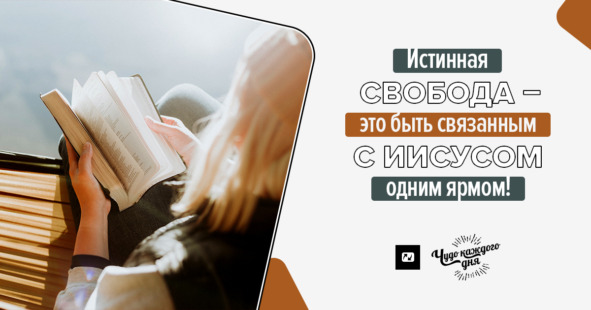 Свобода одна из высших ценностей человека