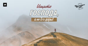 чудо каждого дня