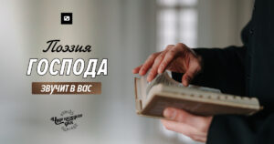 чудо каждого дня