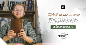 диво кожного дня