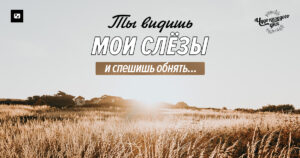 чудо каждого дня