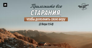 чудо каждого дня