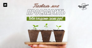 чудо каждого дня