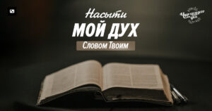 чудо каждого дня