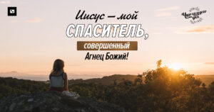 чудо каждого дня