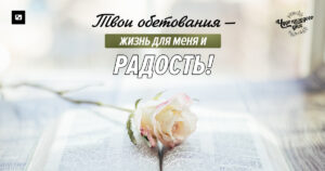 чудо каждого дня