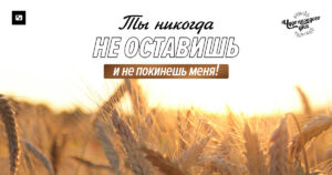 чудо каждого дня