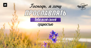 чудо каждого дня