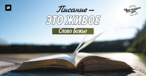 чудо каждого дня
