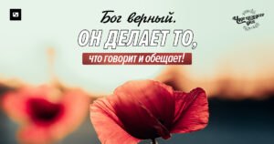 чудо каждого дня