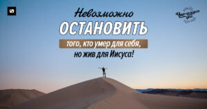 Чудо каждого дня