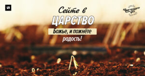 чудо каждого дня