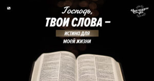 чудо каждого дня