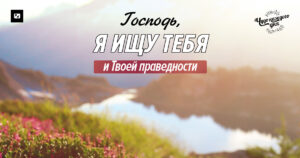 чудо каждого дня
