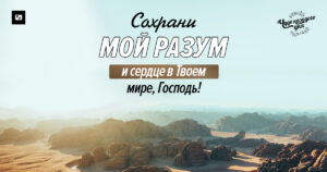чудо каждого дня