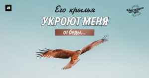 чудо каждого дня