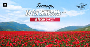 чудо каждого дня