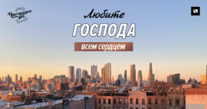 чудо каждого дня