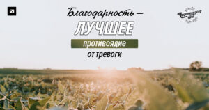 чудо каждого дня