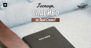чудо каждого дня