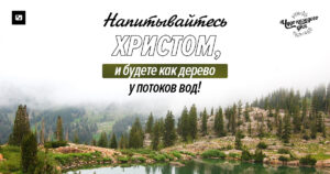 чудо каждого дня
