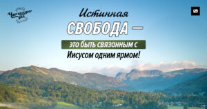 чудо каждого дня