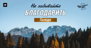 чудо каждого дня
