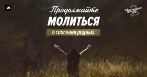 чудо каждого дня