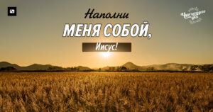 чудо каждого дня