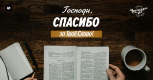 чудо каждого дня