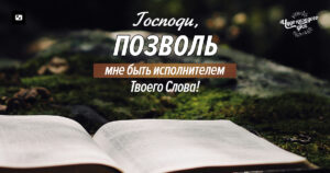 чудо каждого дня