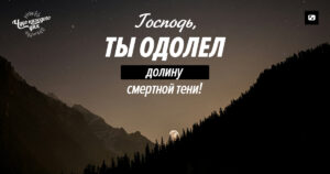 чудо каждого дня