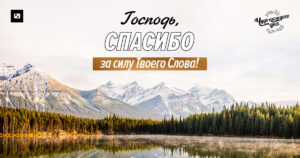 чудо каждого дня