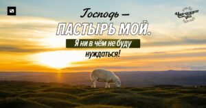 чудо каждого дня