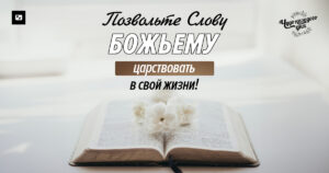 чудо каждого дня