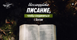 чудо каждого дня