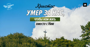 чудо каждого дня