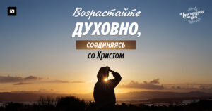 чудо каждого дня