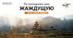 чудо каждого дня