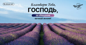 чудо каждого дня