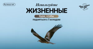 чудо каждого дня