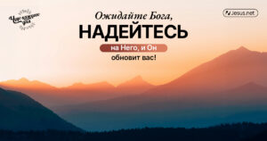 чудо каждого дня