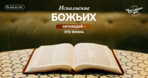 чудо каждого дня