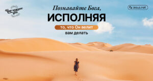 чудо каждого дня