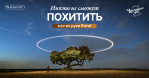 чудо каждого дня