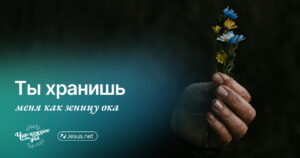 чудо каждого дня