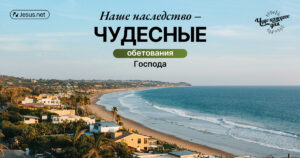 чудо каждого дня