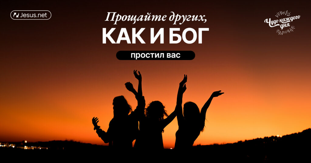 AMED 17.03.25 ru чудо каждого дня