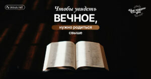 чудо каждого дня