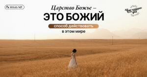 чудо каждого дня